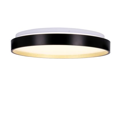 LED Stropna svetilka FLORIDA LED/18W/230V črna