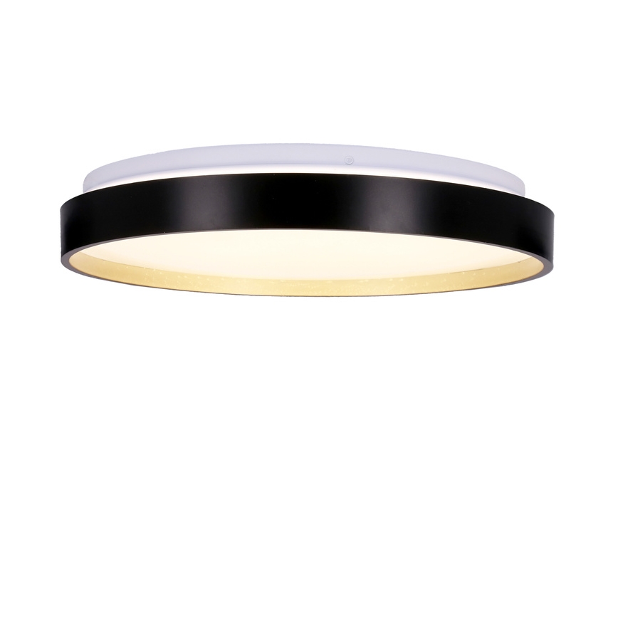 LED Stropna svetilka FLORIDA LED/18W/230V črna