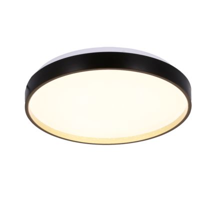 LED Stropna svetilka FLORIDA LED/18W/230V črna