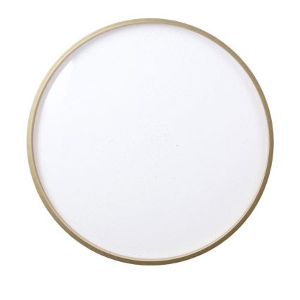 LED Stropna svetilka FLORIDA LED/18W/230V črna