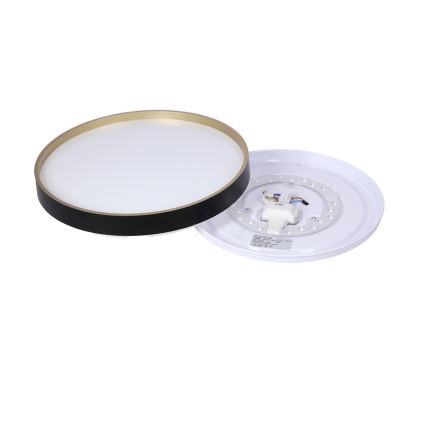 LED Stropna svetilka FLORIDA LED/18W/230V črna