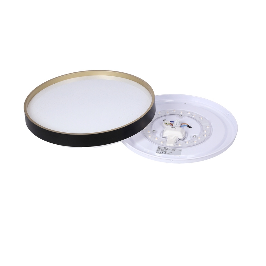 LED Stropna svetilka FLORIDA LED/18W/230V črna