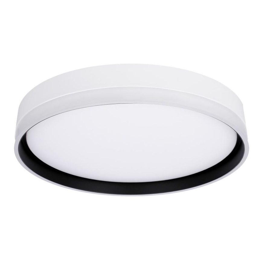 LED Stropna svetilka FLORIDA LED/24W/230V bela