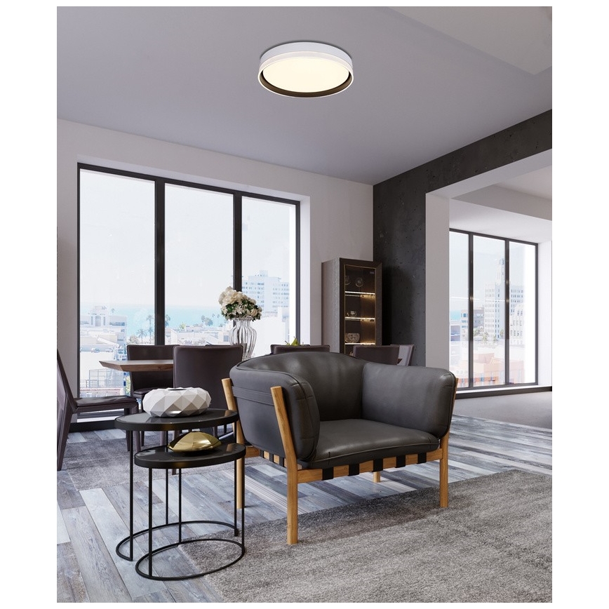 LED Stropna svetilka FLORIDA LED/24W/230V bela