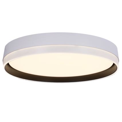 LED Stropna svetilka FLORIDA LED/24W/230V bela