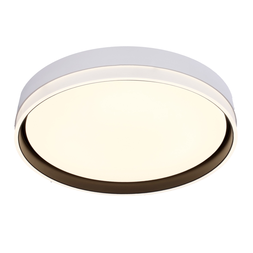 LED Stropna svetilka FLORIDA LED/24W/230V bela