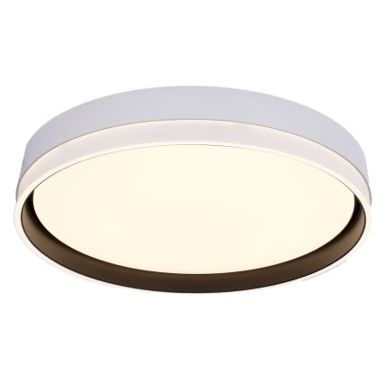 LED Stropna svetilka FLORIDA LED/24W/230V bela