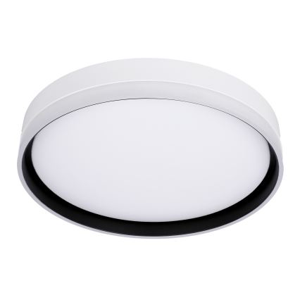 LED Stropna svetilka FLORIDA LED/24W/230V bela