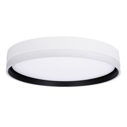 LED Stropna svetilka FLORIDA LED/24W/230V bela