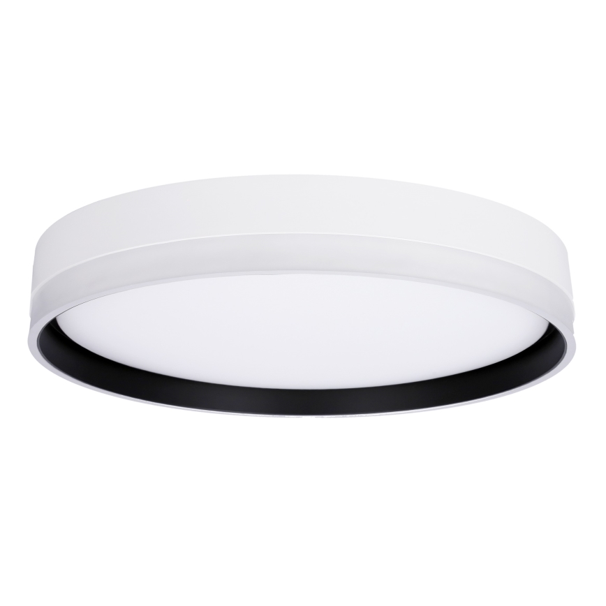 LED Stropna svetilka FLORIDA LED/24W/230V bela