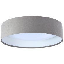 LED Stropna svetilka GALAXY 1xLED/24W/230V pr. 44 cm siva/bela