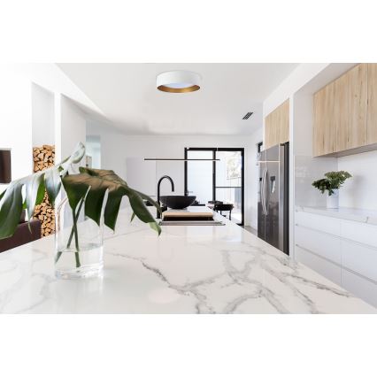 LED stropna svetilka GALAXY LED/24W/230V premer 44 cm bela/zlata