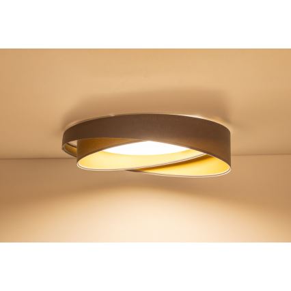 LED stropna svetilka GALAXY MODERN, LED/24W/230V, premer 55 cm, siva/zlata