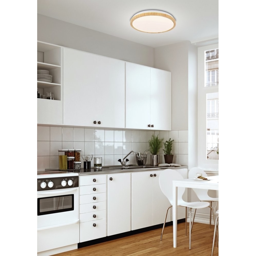 LED Stropna svetilka GANDAVA LED/24W/230V