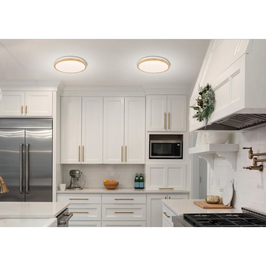 LED Stropna svetilka GANDAVA LED/24W/230V