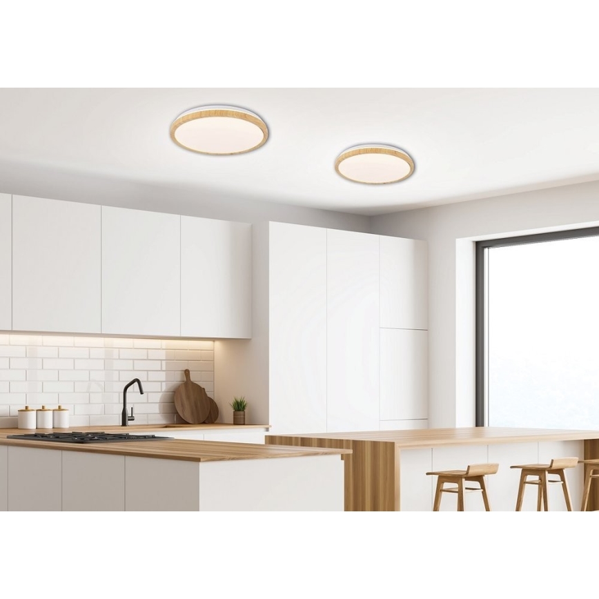 LED Stropna svetilka GANDAVA LED/24W/230V