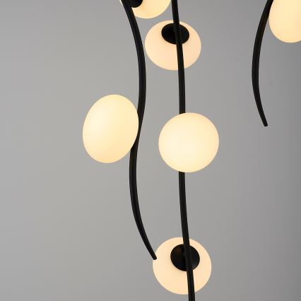 LED Stropna svetilka GELA 18xLED/3W/230V 3000K črna