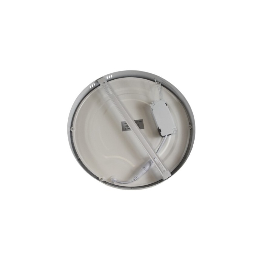 LED Stropna svetilka GERRIT LED/24W/230V 6500K bela