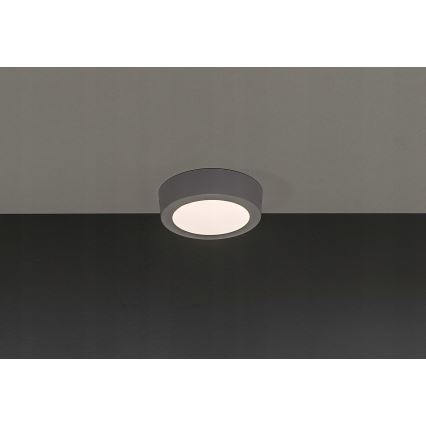 LED Stropna svetilka GERRIT LED/6W/230V 3000K