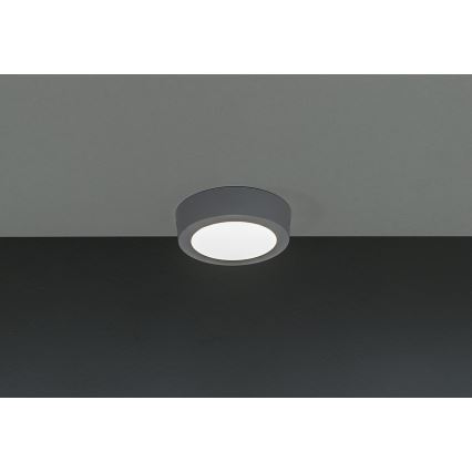 LED Stropna svetilka GERRIT LED/6W/230V 4000K