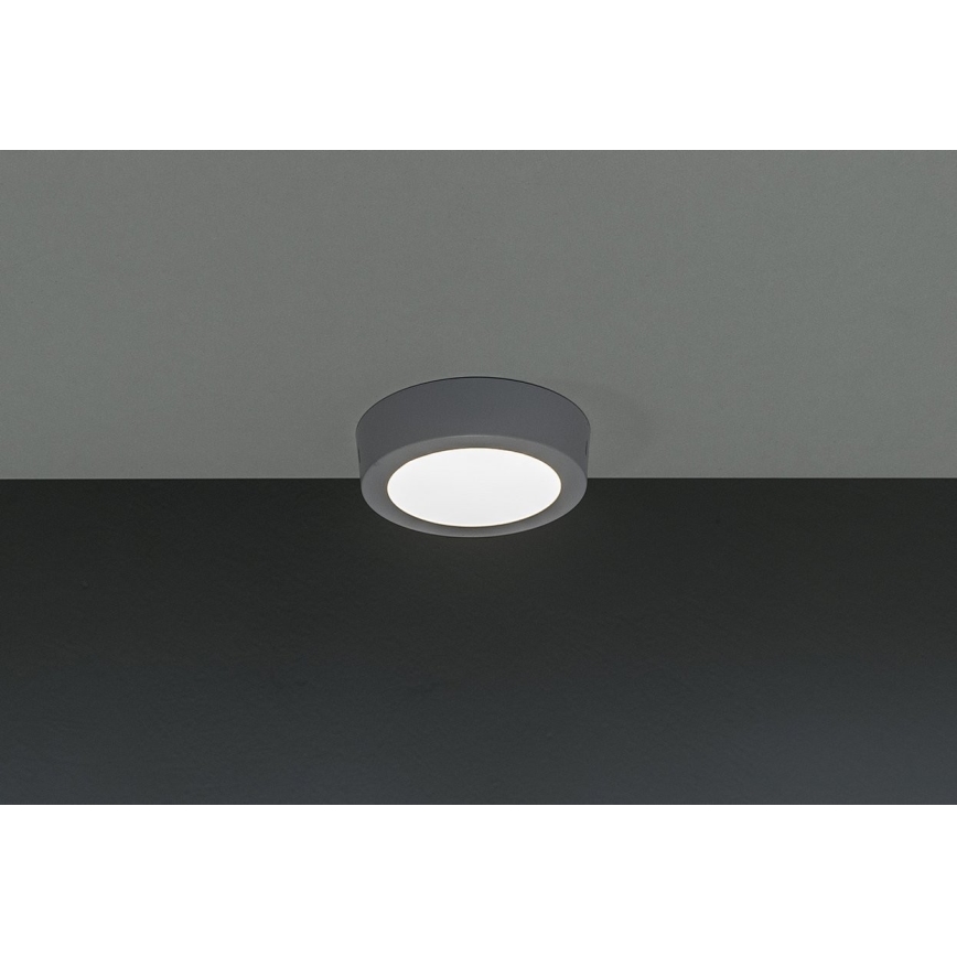 LED Stropna svetilka GERRIT LED/6W/230V 4000K