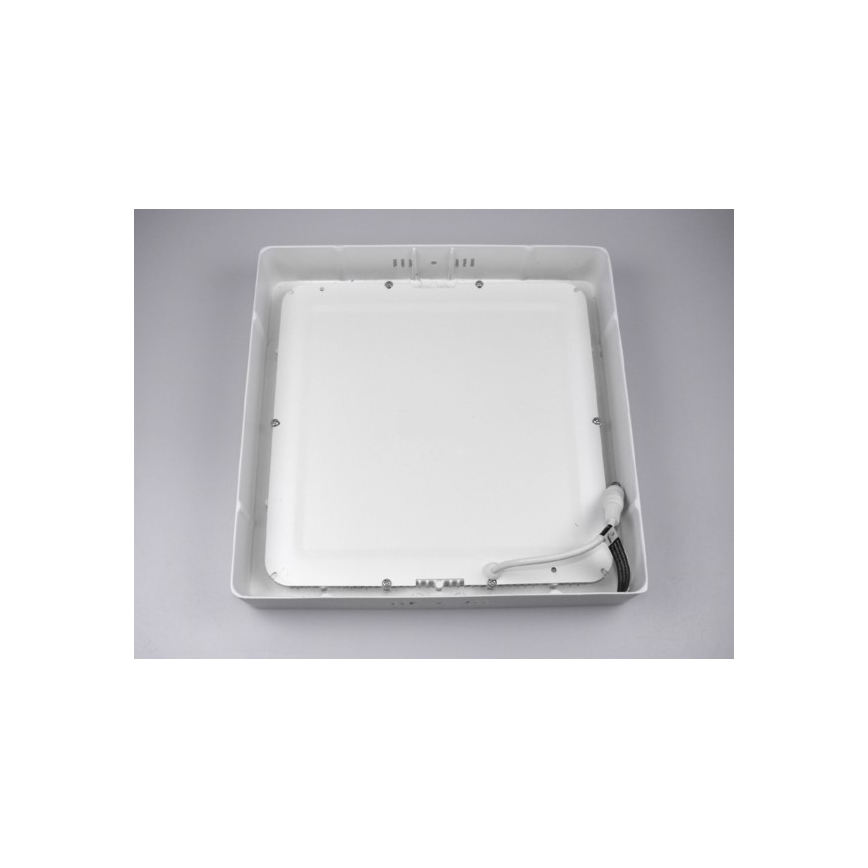 LED Stropna svetilka GERRY LED/18W/230V 4000K bela