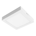 LED Stropna svetilka GERRY LED/24W/230V 3000K