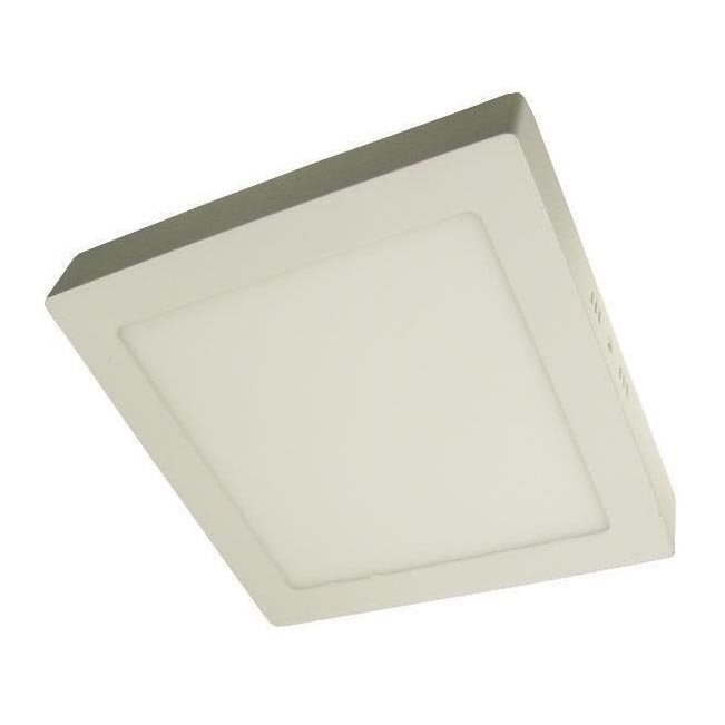 LED Stropna svetilka GERRY LED/24W/230V 4000K