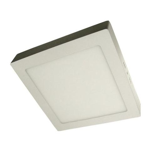 LED Stropna svetilka GERRY LED/24W/230V 6000K