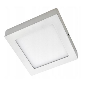 LED Stropna svetilka GERRY LED/6W/230V 3500K