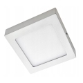 LED Stropna svetilka GERRY LED/6W/230V 4000K