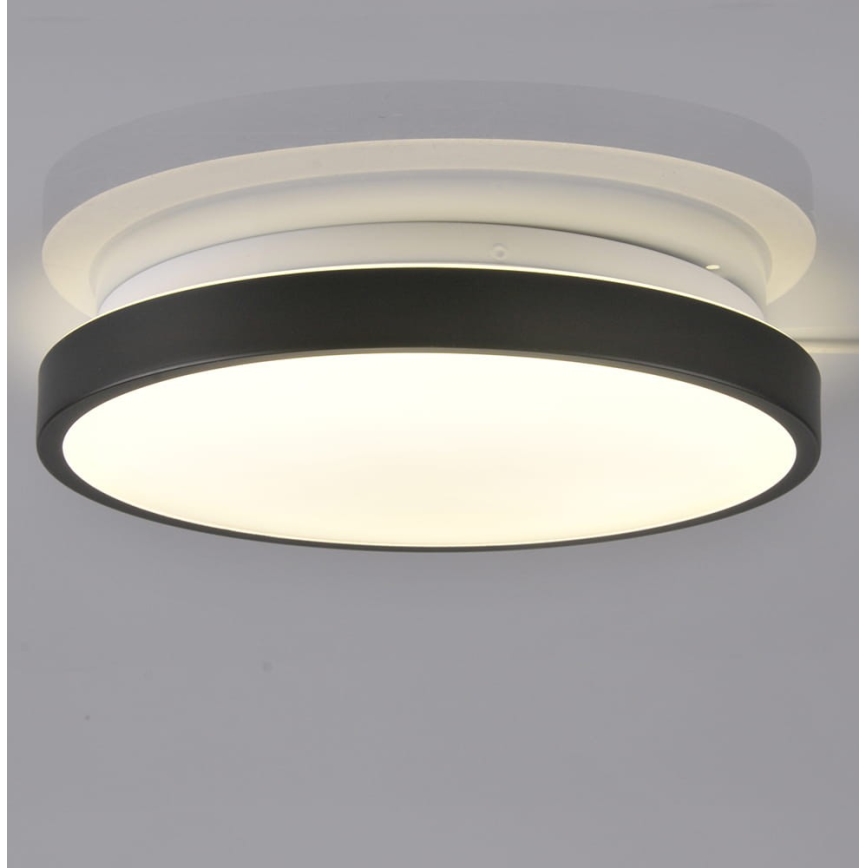 LED Stropna svetilka KERN LED/15W/230V črna