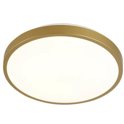 LED Stropna svetilka KERN LED/15W/230V pr. 29 cm