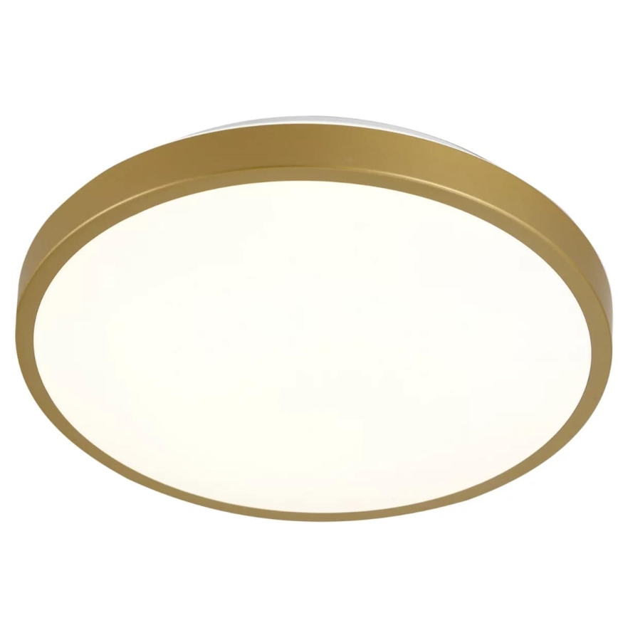 LED Stropna svetilka KERN LED/15W/230V pr. 29 cm