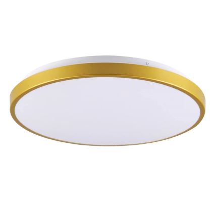 LED Stropna svetilka KERN LED/15W/230V pr. 29 cm