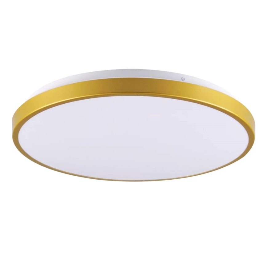 LED Stropna svetilka KERN LED/15W/230V pr. 29 cm