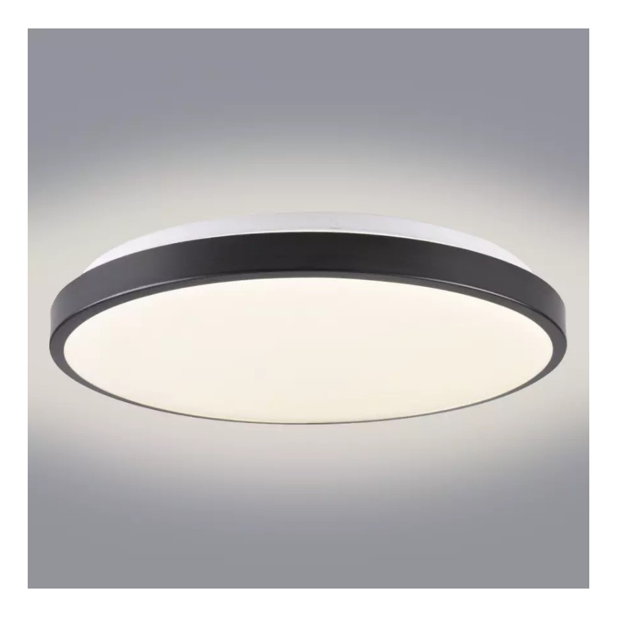LED Stropna svetilka KERN LED/24W/230V črna