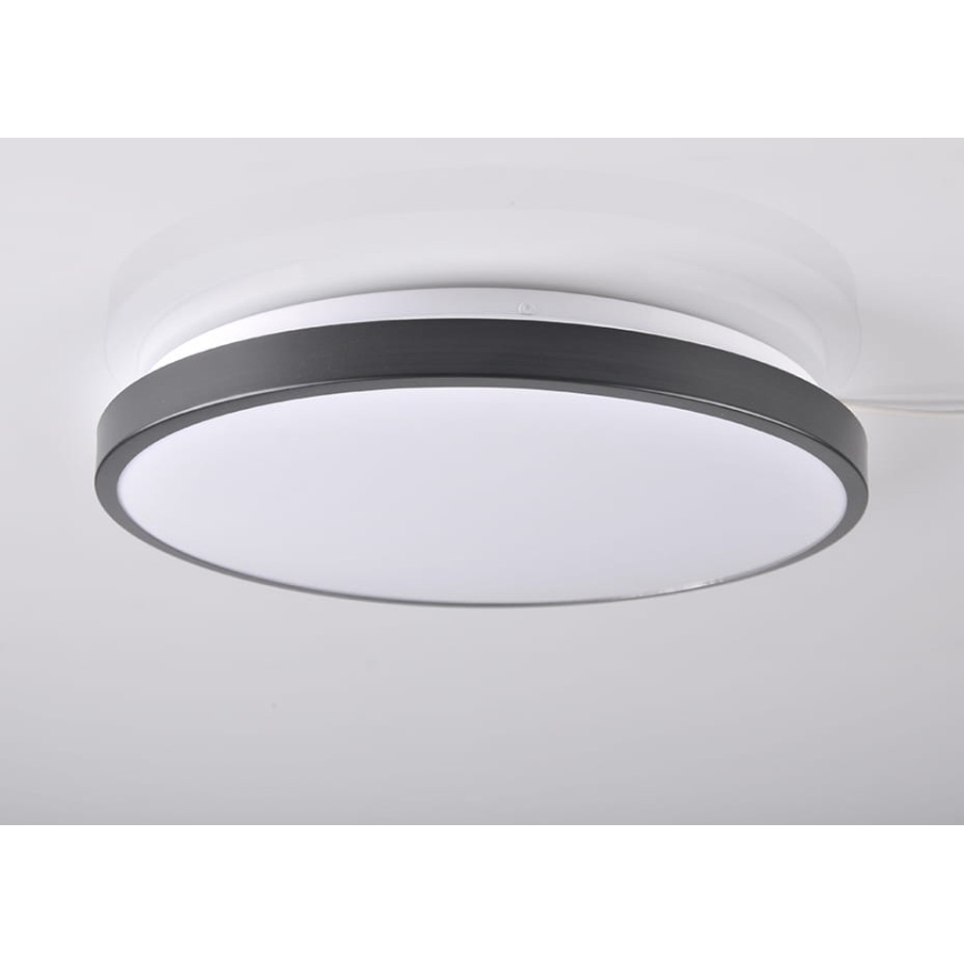 LED Stropna svetilka KERN LED/24W/230V črna