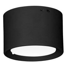 LED Stropna svetilka LED/10W/230V črna pr. 10 cm