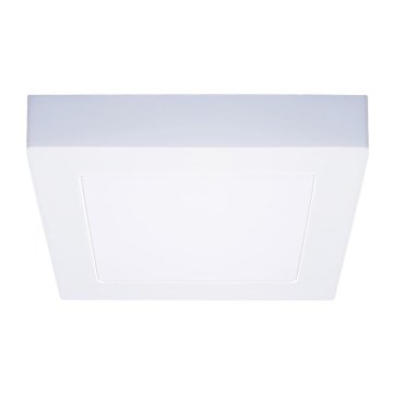 LED stropna svetilka LED/12W/230V 3000/4000/6000K 17x17 cm bela