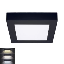 LED Stropna svetilka LED/12W/230V 3000/4000/6000K črna kotna