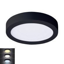LED Stropna svetilka LED/12W/230V 3000/4000/6000K črna okrogla