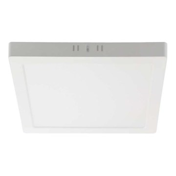 LED Stropna svetilka LED/12W/230V 3000K 16,7x16,7 cm bela