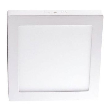 LED Stropna svetilka LED/12W/230V 4000K 17,2x17,2 cm