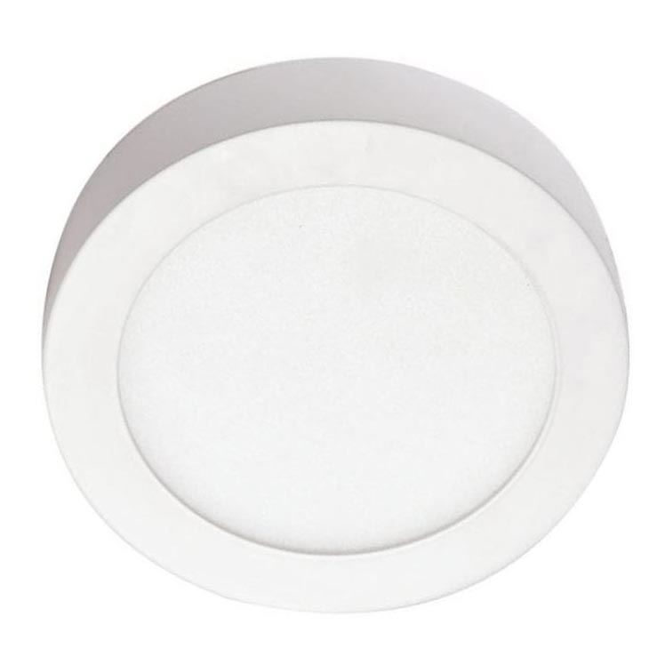 LED Stropna svetilka LED/12W/230V 4000K pr. 17,2 cm