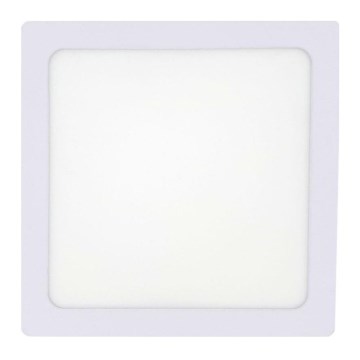 LED Stropna svetilka LED/12W/230V 4200K 16,3x16,3 cm bela