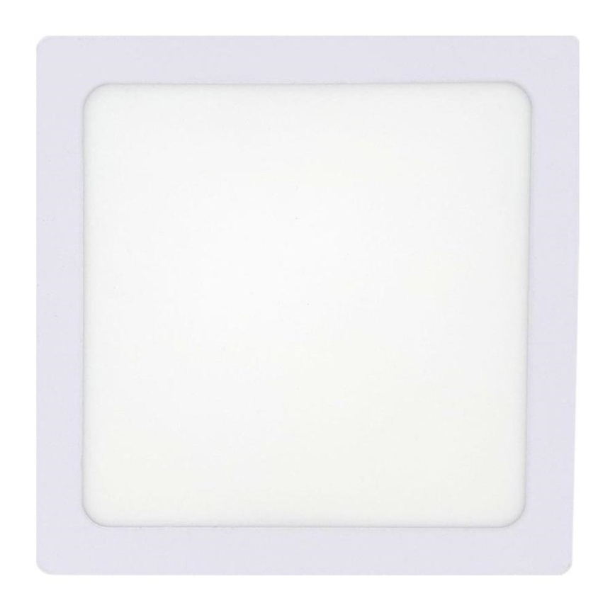 LED Stropna svetilka LED/12W/230V 4200K 16,3x16,3 cm bela
