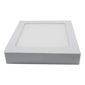 LED Stropna svetilka LED/12W/230V 6000K