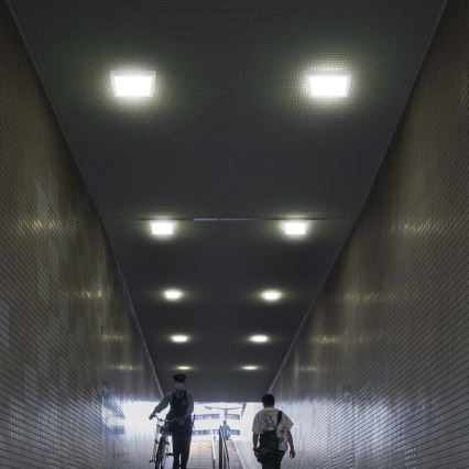 LED Stropna svetilka LED/12W/230V 6500K 16,7x16,7 cm bela