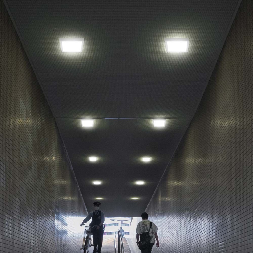 LED Stropna svetilka LED/12W/230V 6500K 16,7x16,7 cm bela